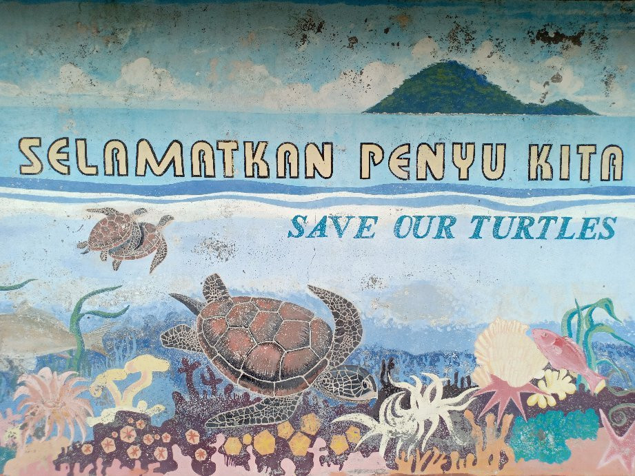 Turtle Conservation and Information Center-红土坎必去景点