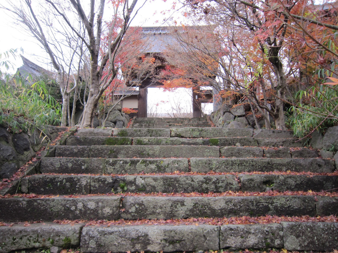 Shonen-ji Temple景点图片