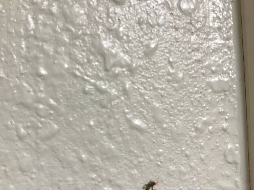 贝斯特韦斯特夏利马尔广场酒店&会议中心主图