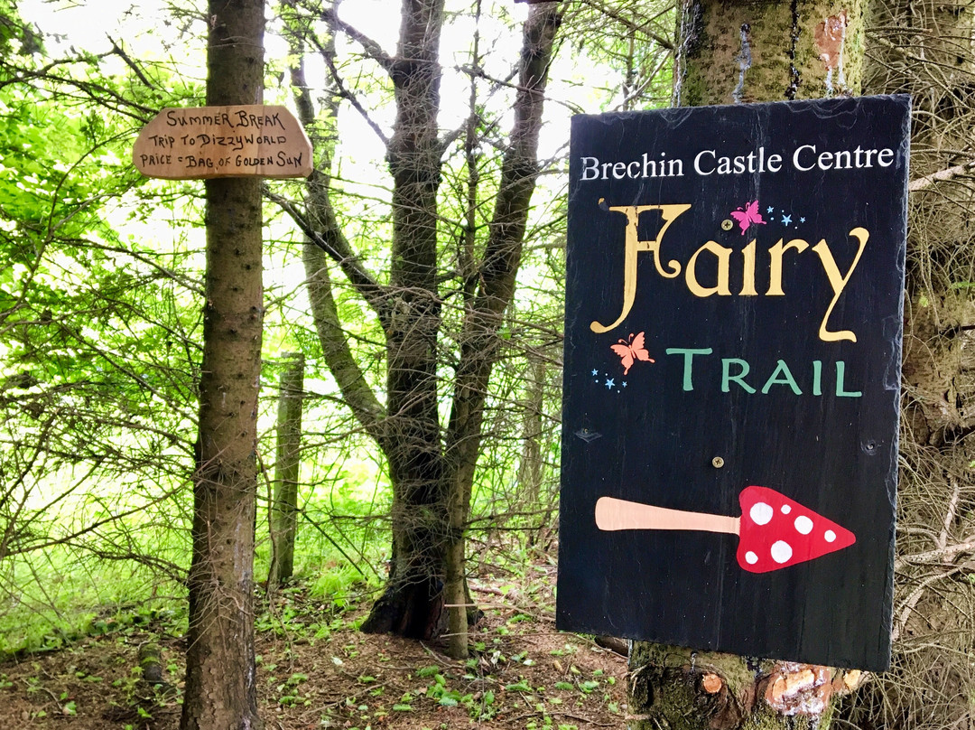 Brechin Castle Country Park-Brechin必去景点