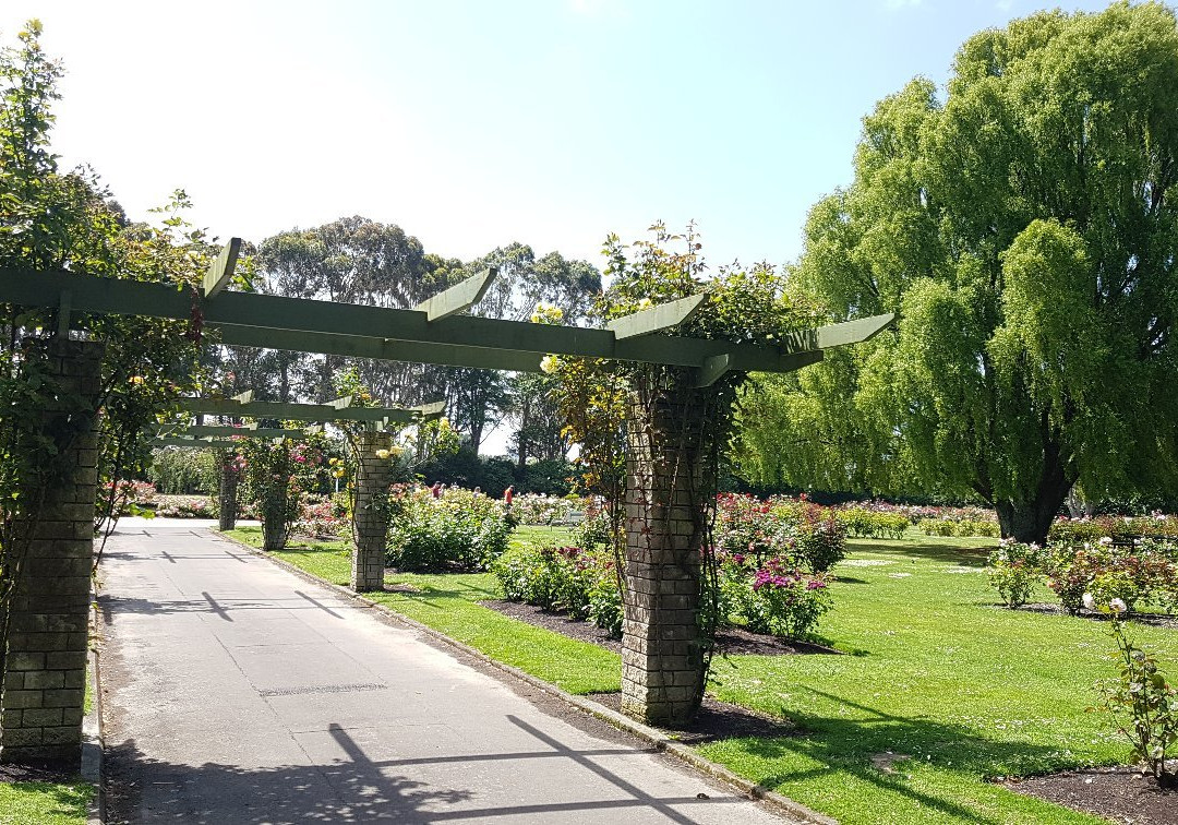 Dugald MacKenzie Rose Garden景点图片