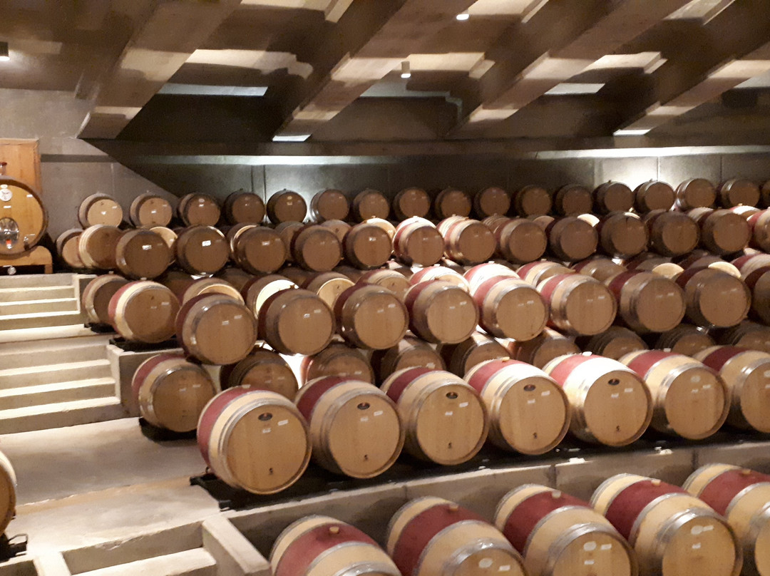 Colchagua Wine Lovers-圣克鲁斯必去景点