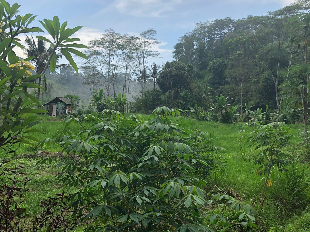 BTR Bali Tubing & Rafting-卡朗阿森必去景点