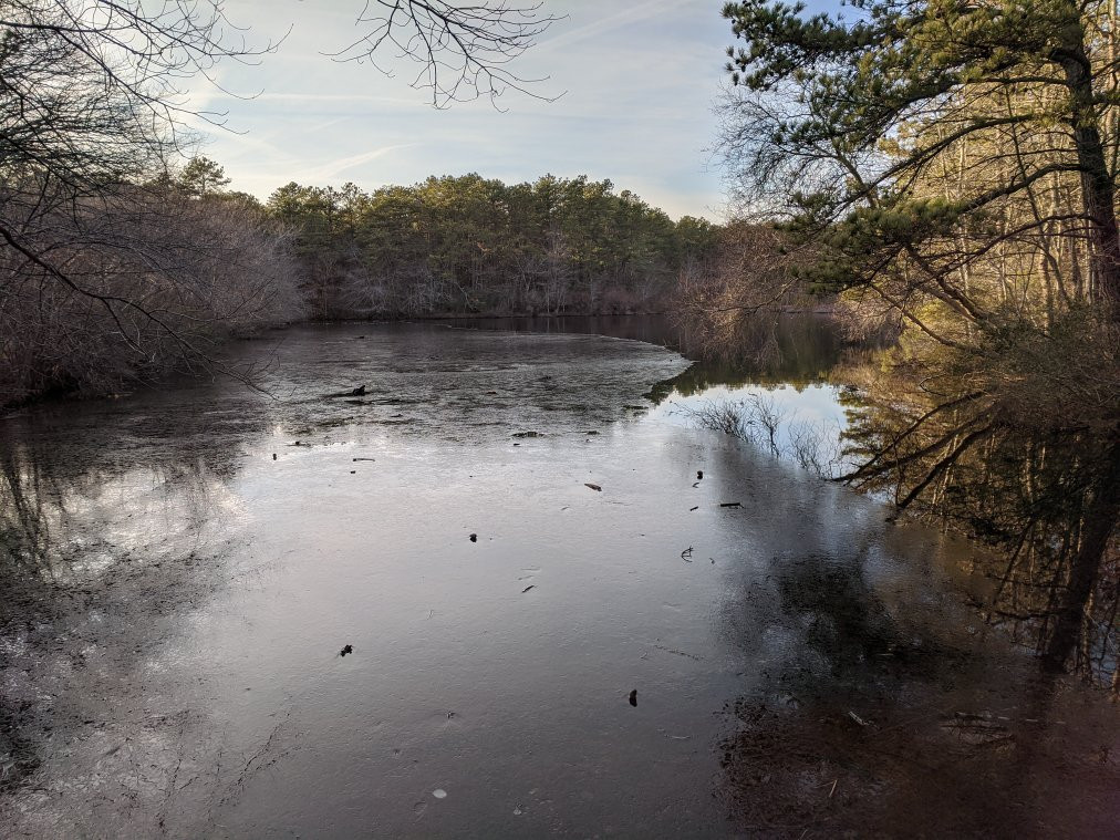 Quogue Wildlife Refuge景点图片