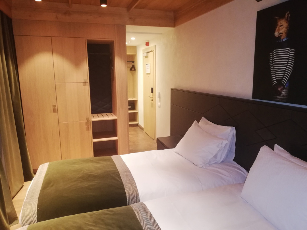 Ana Hotels Bradul Poiana Brașov主图