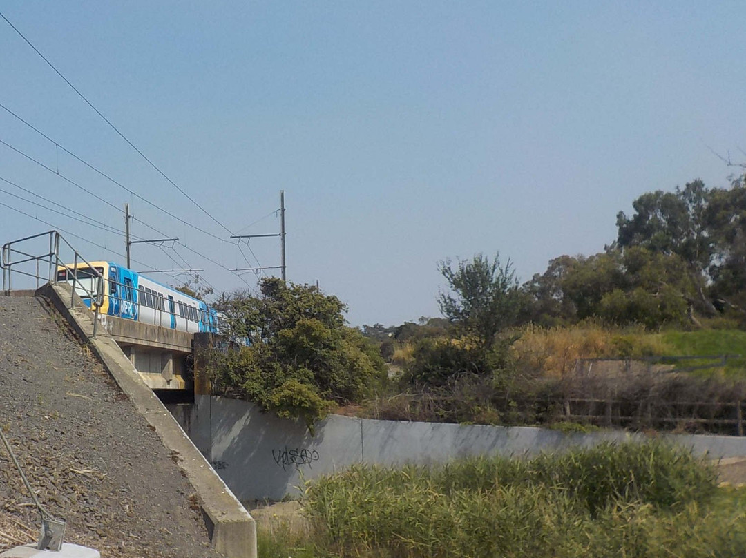 Dandenong Creek Trail-格伦韦弗利必去景点
