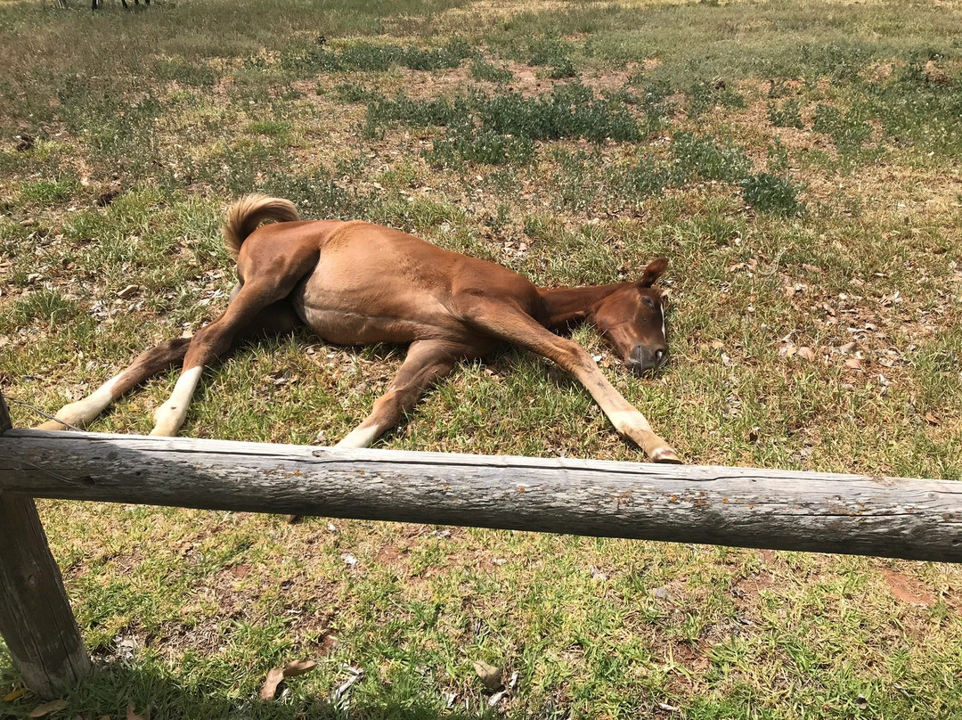 Arabella Wines-Ashton必去景点