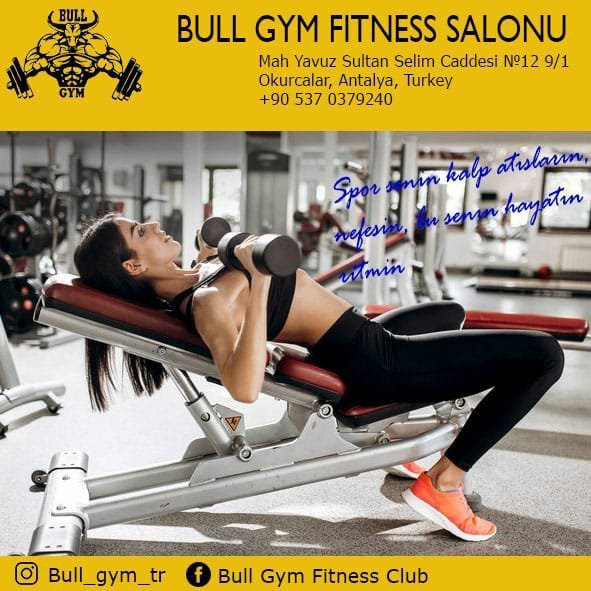 Bull Gym景点图片
