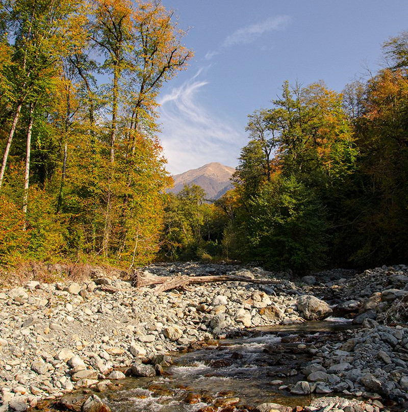Lagodekhi National Reserve-Lagodekhi必去景点