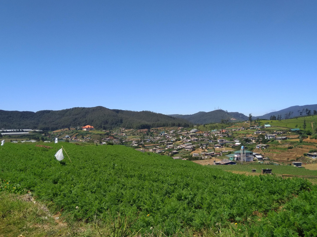 Visit Nuwara Eliya-奴娃拉伊利雅必去景点