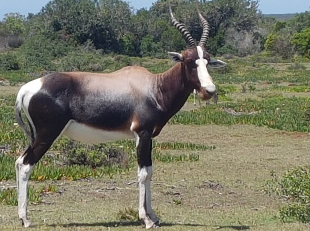 Tip of Africa Information Centre-Struisbaai必去景点