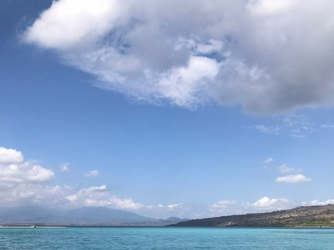 Snorkeling Menjangan Island景点图片