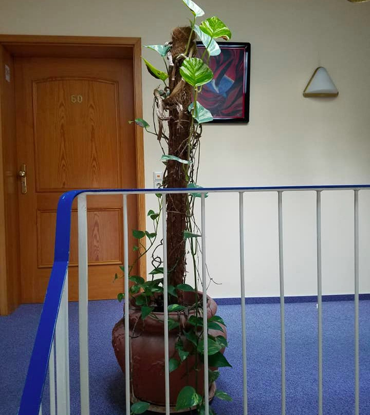 Schloss Hotel Landstuhl主图