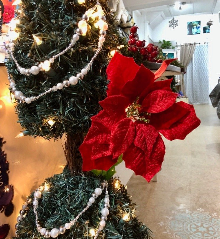 Shari Mallinson Gallery-Amherst必去景点