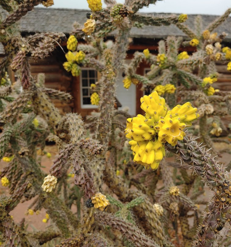 Fort Apache Historic Park-Fort Apache必去景点
