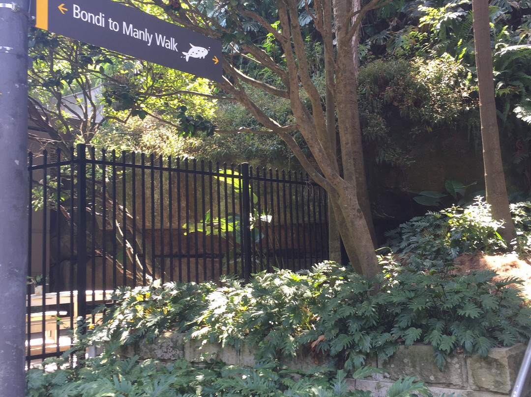 悉尼港环游-悉尼必去景点