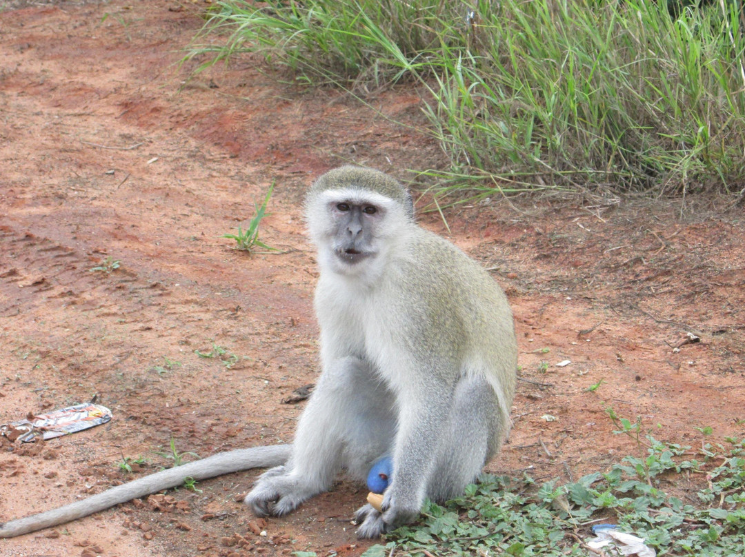 Westtour_Angola-卢安达必去景点