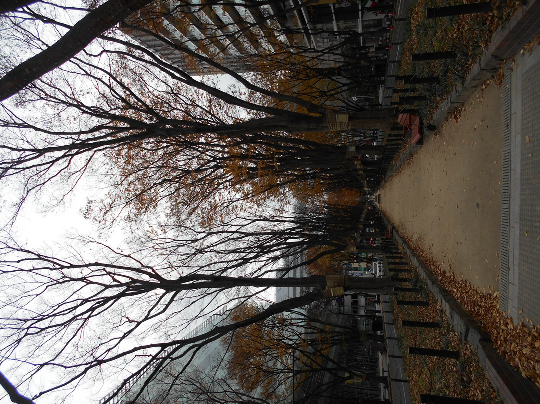 Jozenjidori Ryokuchi-仙台市必去景点