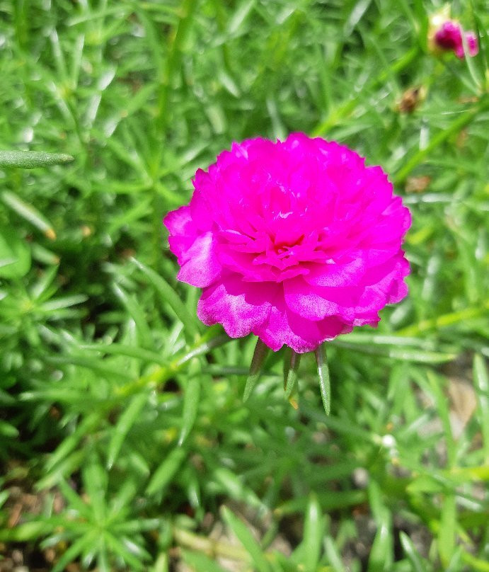 Terracota Hotel主图