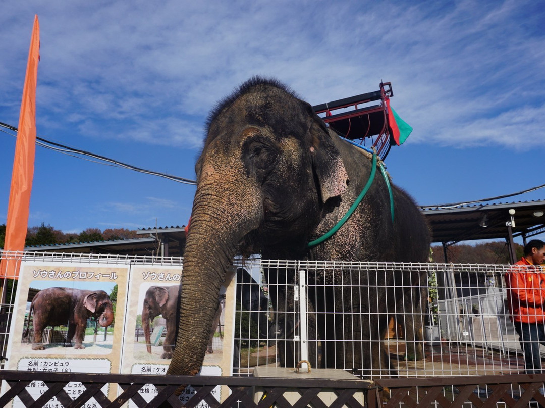 Nasu World Monkey Park-那须町必去景点