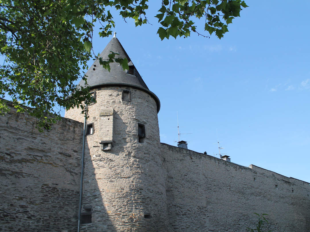 City Wall and Fortifications Andernach景点图片