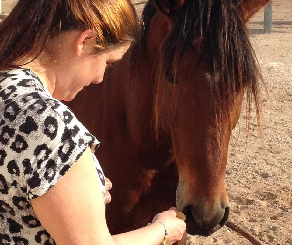 Ranch Mogador-索维拉必去景点