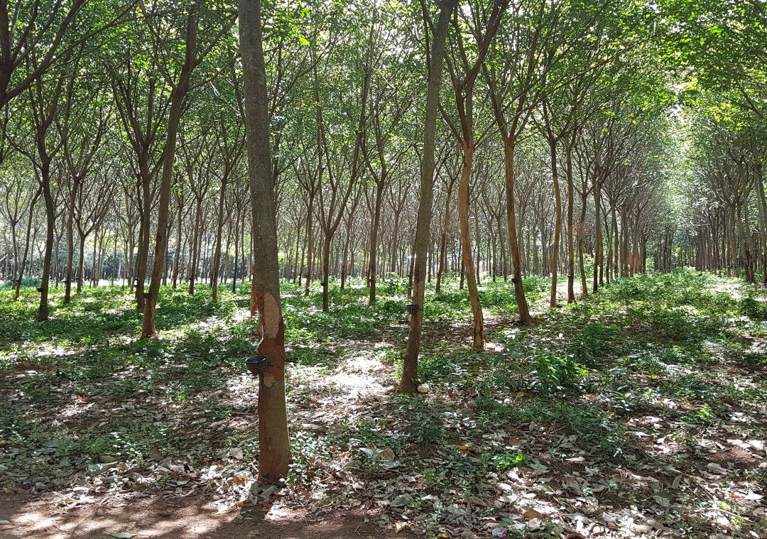 laem Son Beach-玛岛必去景点