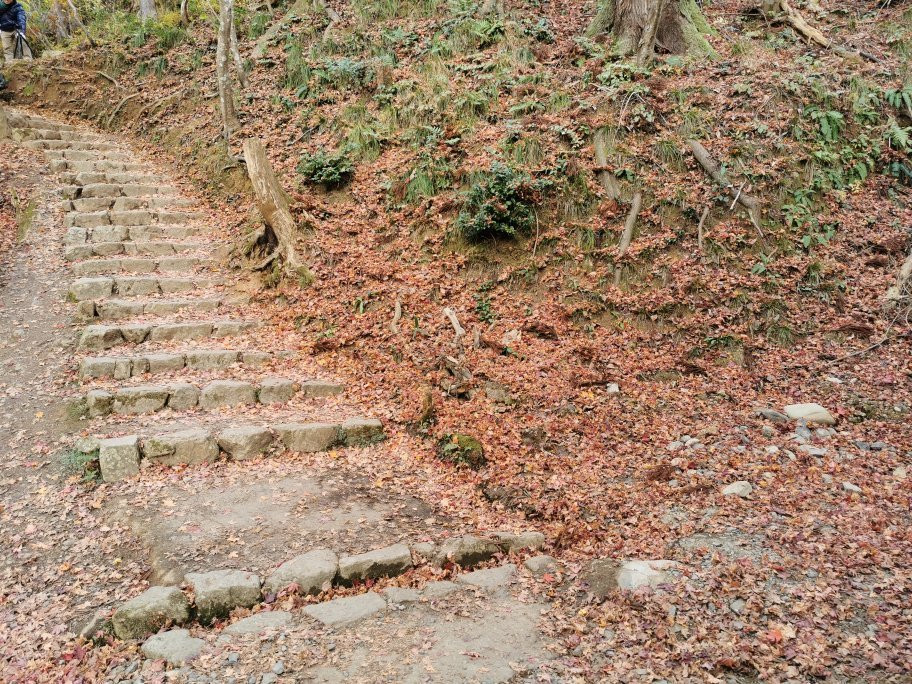 Shakudoji Temple-长滨市必去景点
