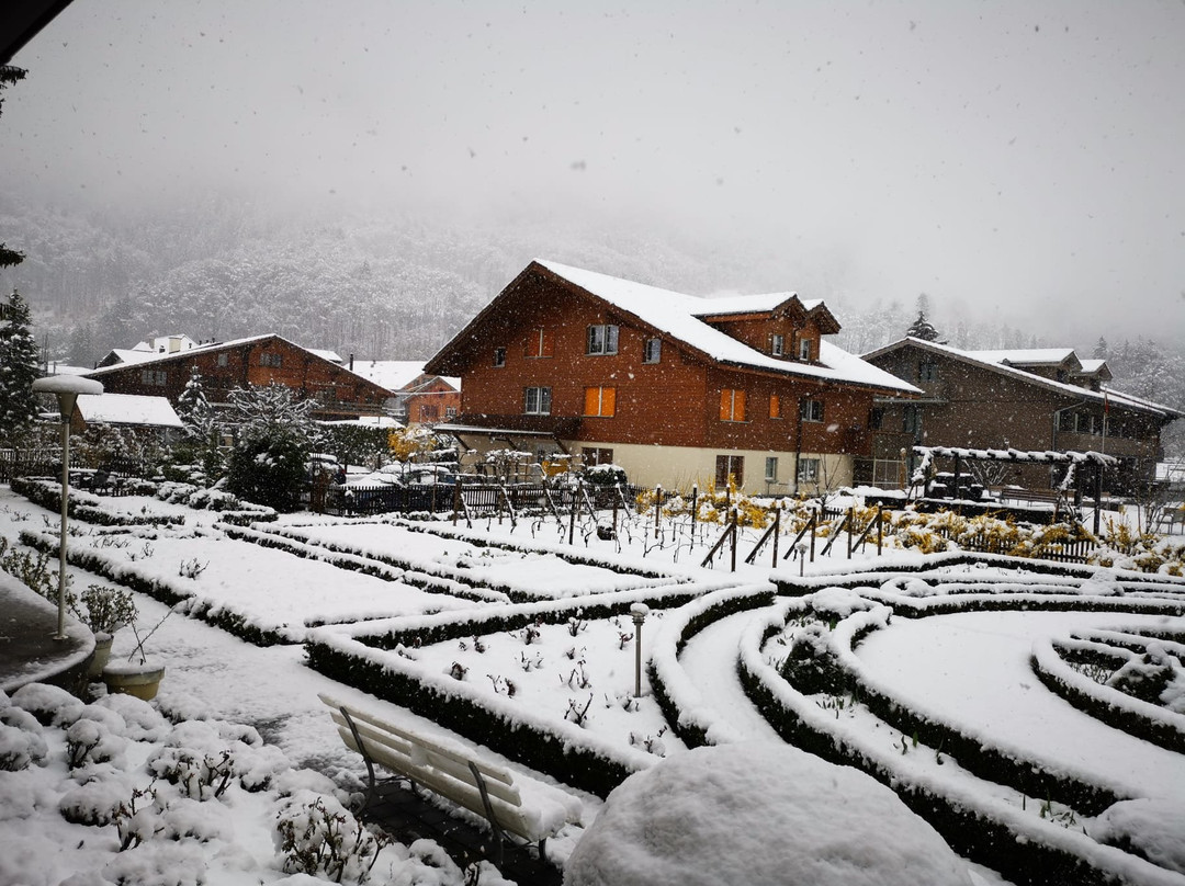 Alpenrose Landscape Gardens-维尔德斯维尔必去景点