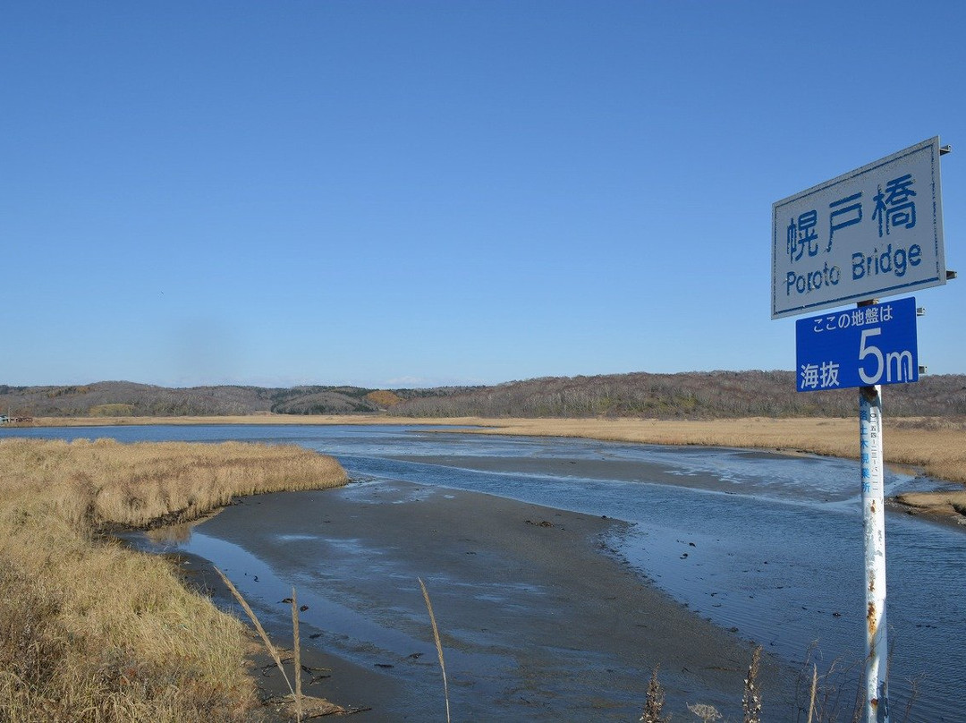 Poroto Swamp-滨中町必去景点