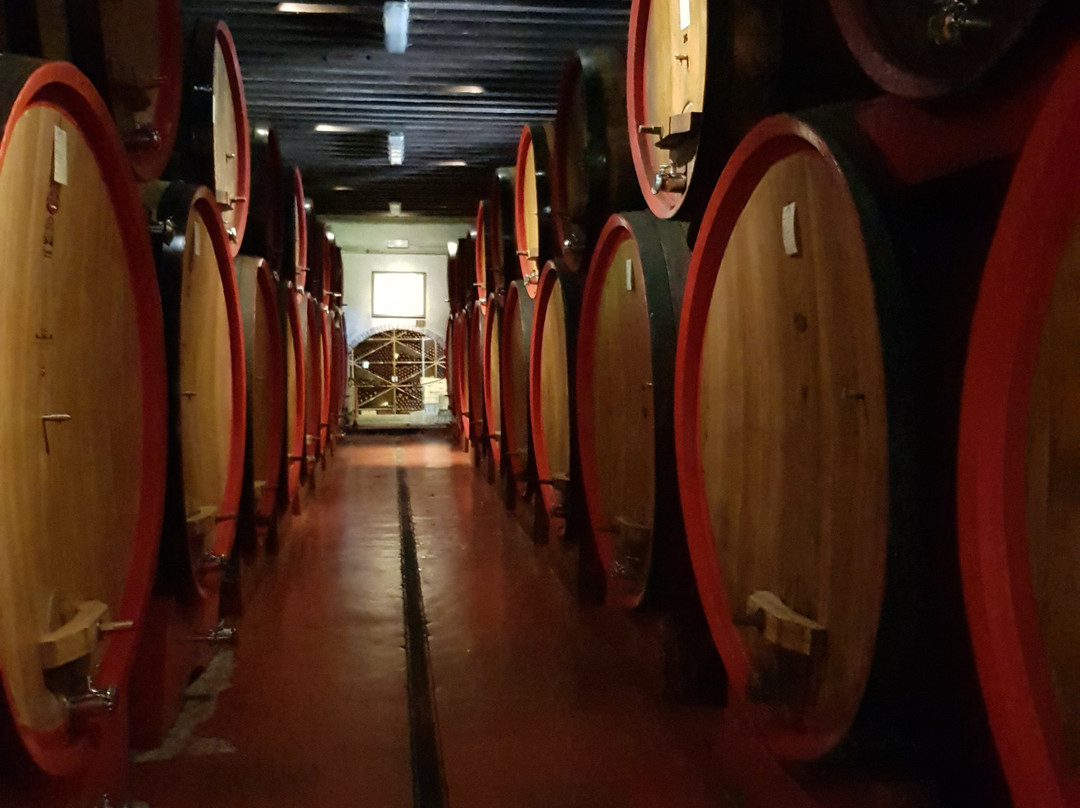 Castello Di Roncade景点图片