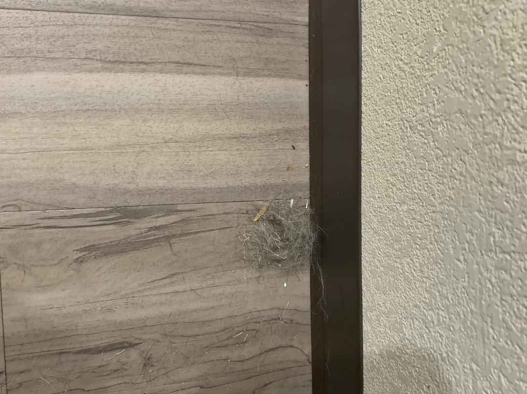 La Quinta Inn & Suites by Wyndham Tulsa - Catoosa Route 66主图