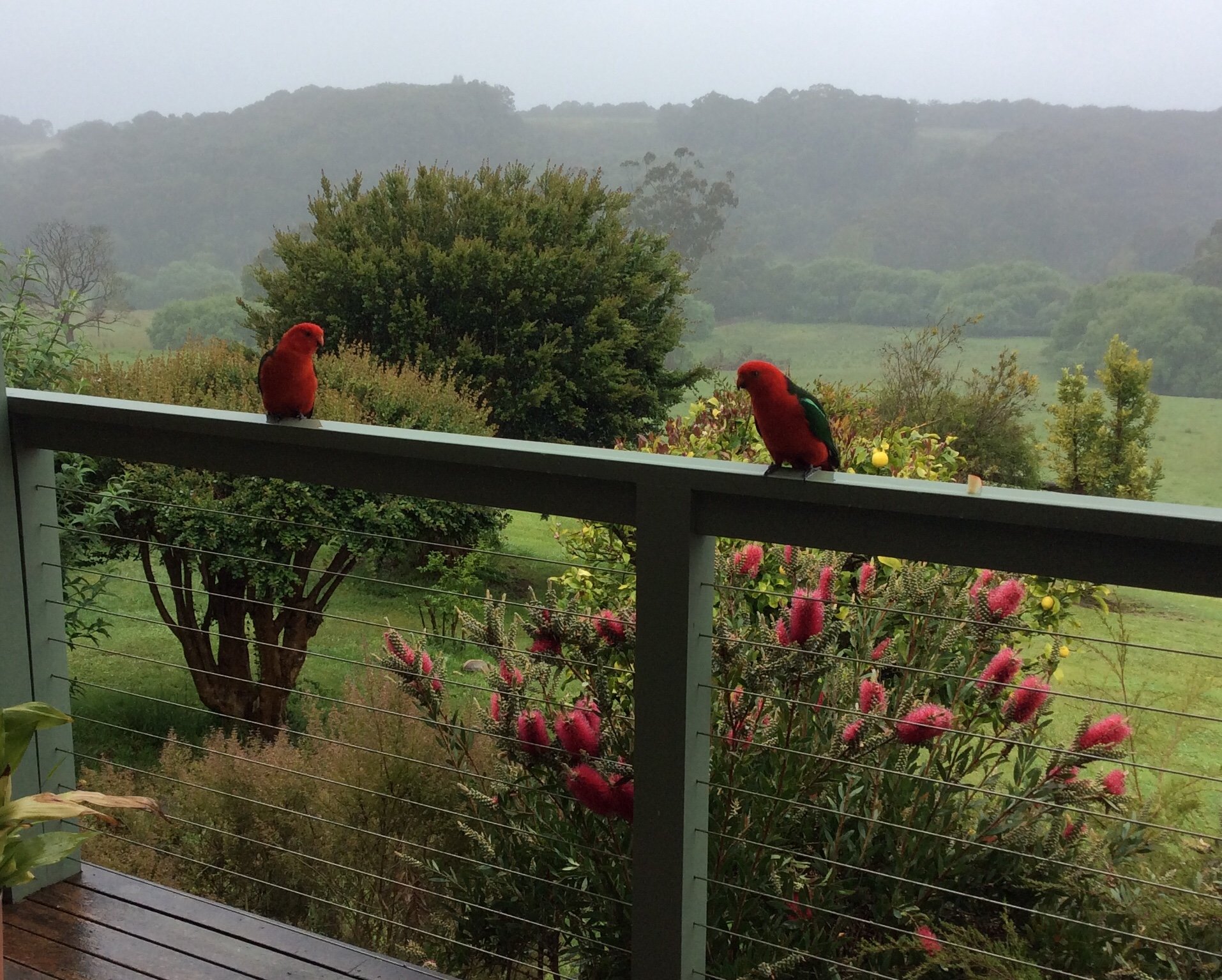 Forrest River Valley B&B-官方