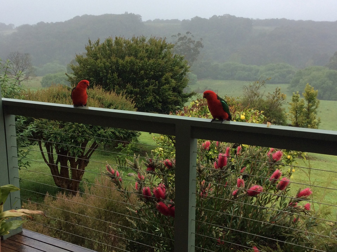 Forrest River Valley B&B主图