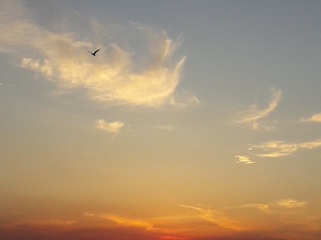 Ponta do Cururu-Alter do Chao必去景点