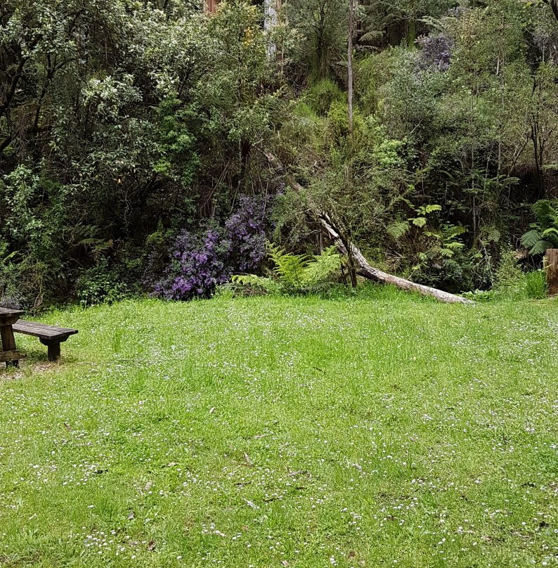 Lake Elizabeth-Forrest必去景点