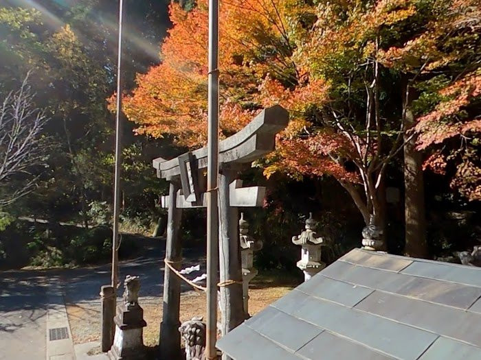 Teifukutera Temple-大豊町必去景点
