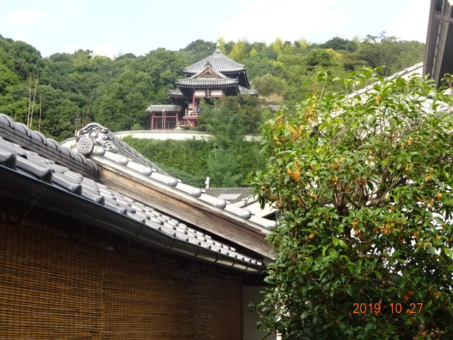 Nipponia Hotel Takehara Saltworks Town-酒店景观