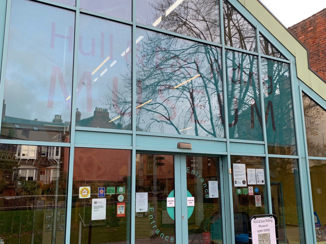 Hull & East Riding Museum景点图片