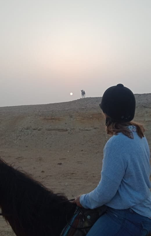 Cairo Horse Riding School