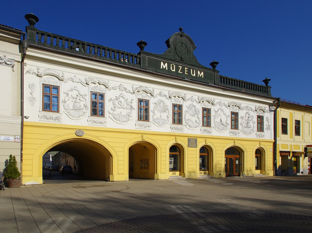 Muzeum Spisa