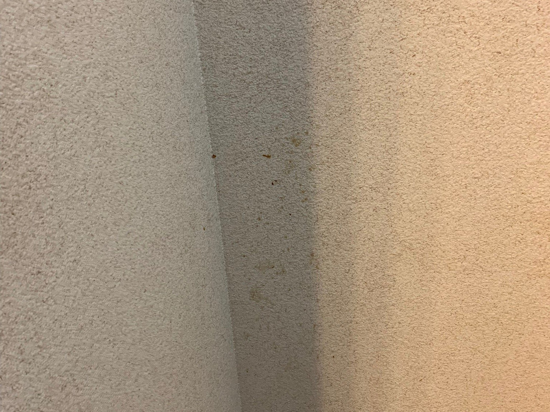 Comfort Inn Camp Verde - I-17 Exit 287 Arizona 260主图