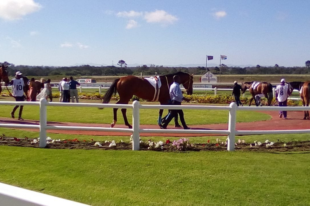 Fairview Racecourse景点图片