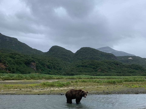 Andrews Airways-Kodiak必去景点