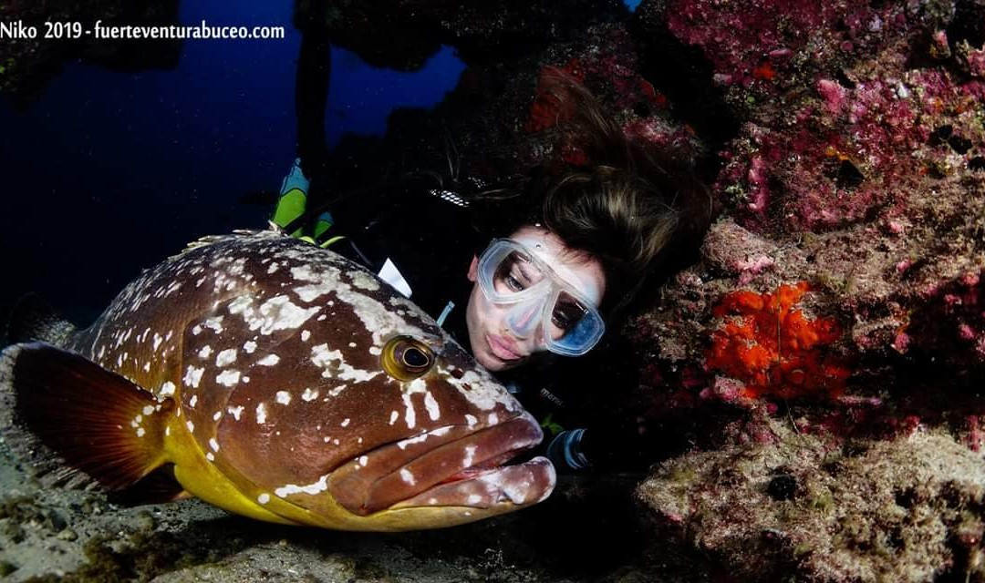 Fuerteventura Buceo Diving center景点图片