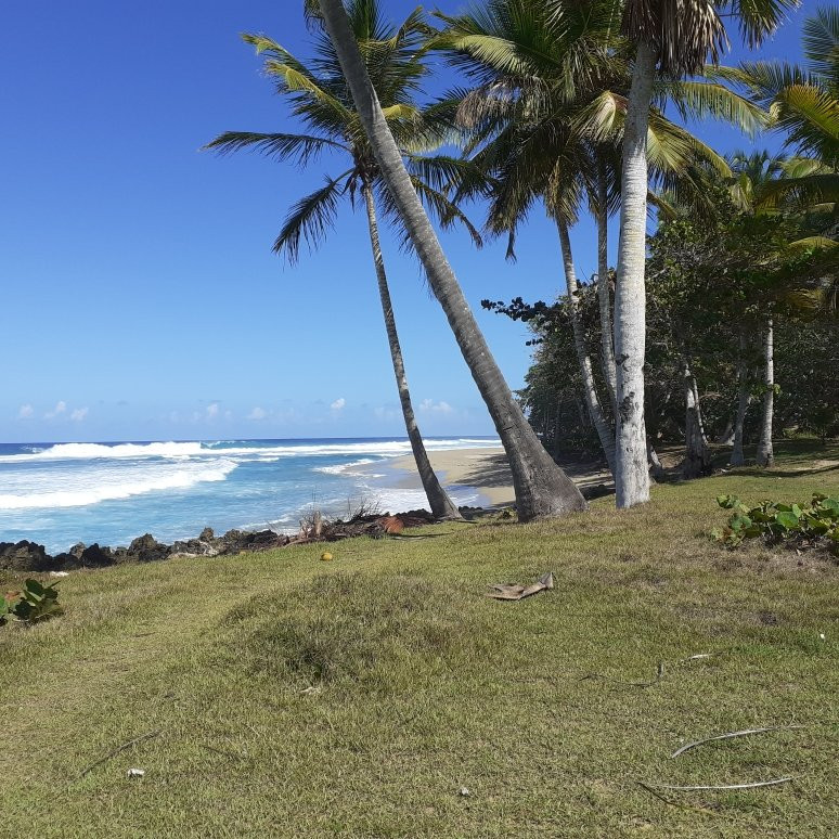 Perla Marina旅游攻略图片