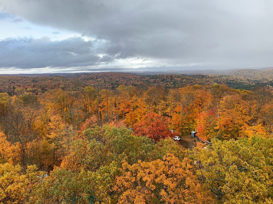 Dorset Scenic Lookout Tower景点图片