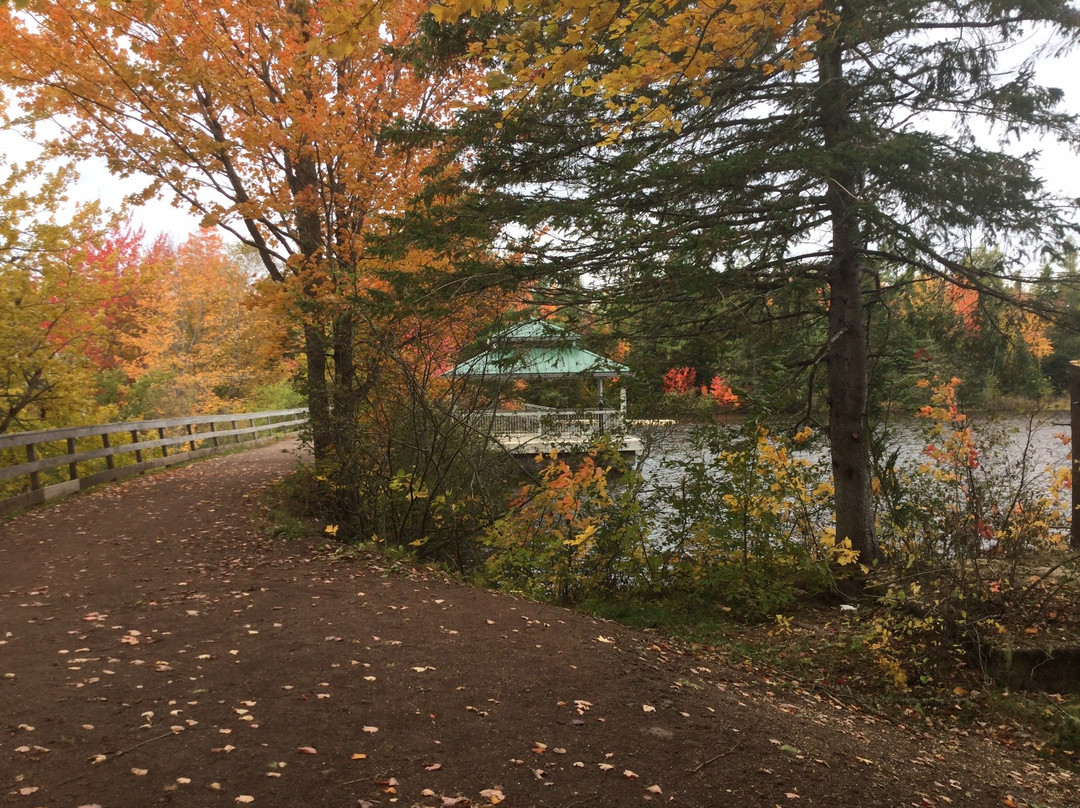 Irishtown Nature Park-蒙古顿必去景点
