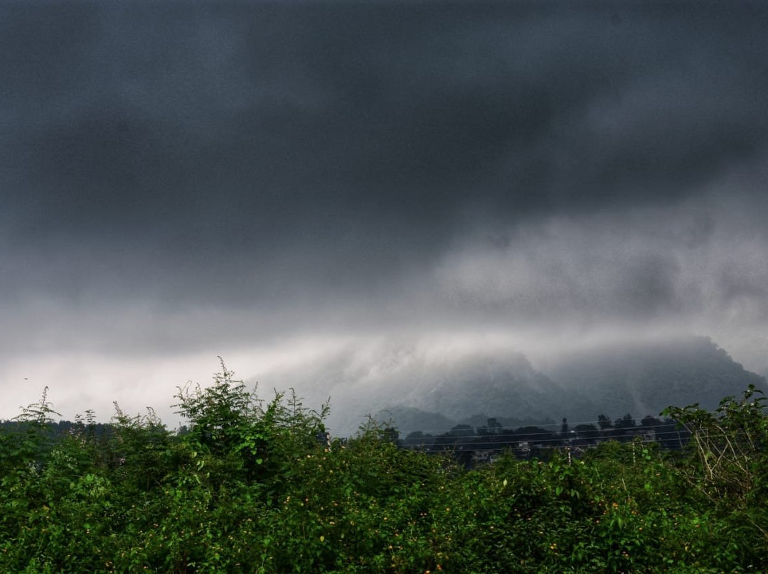 Colonel's Quarters主图