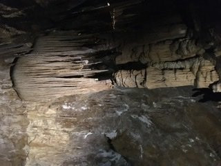 Hastings Caves and Thermal Springs景点图片
